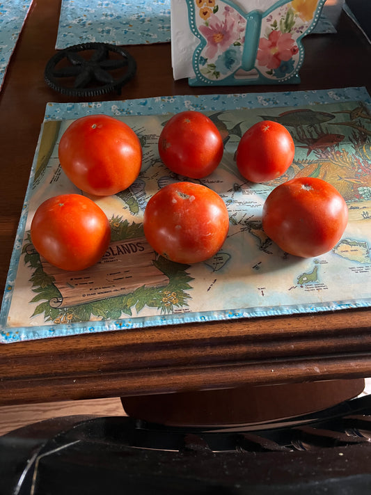 Home grown tomatoes