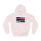 Female  College Hoodie